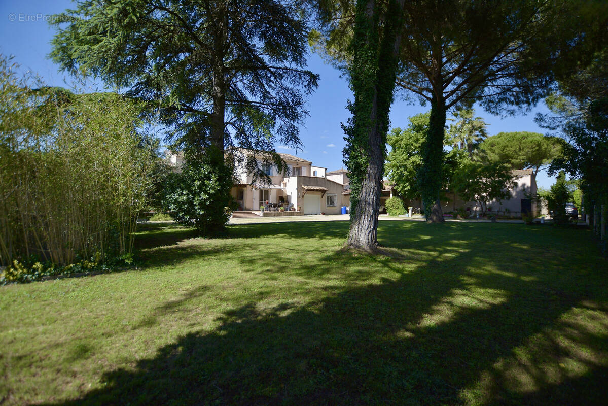 Maison à AIMARGUES