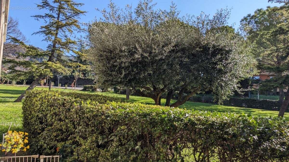 Appartement à DRAGUIGNAN