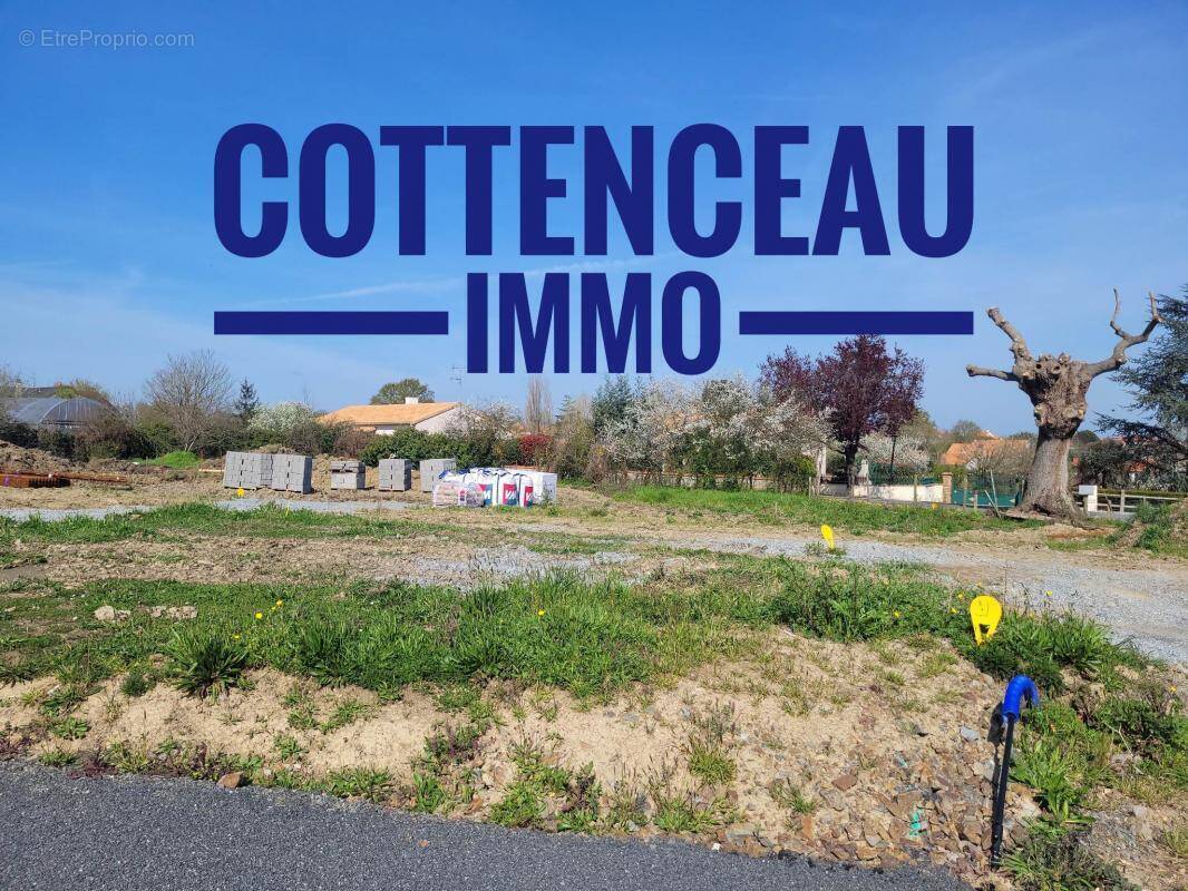Terrain à CHEMILLE