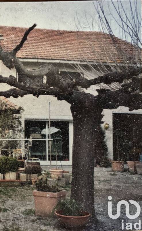 Photo 1 - Maison à MONTEUX