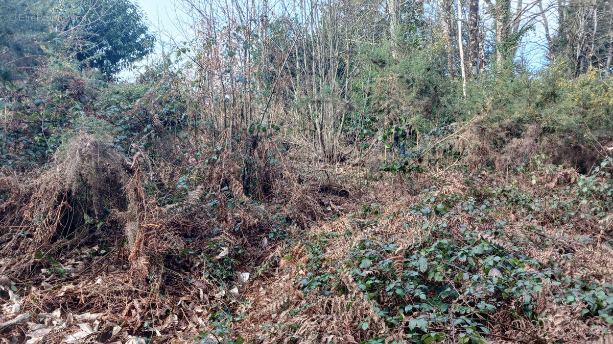 Terrain à LA GACILLY