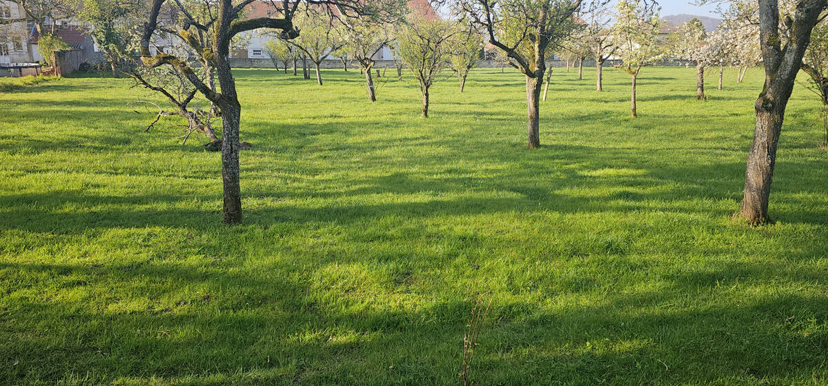Terrain à VIGNEULLES-LES-HATTONCHATEL