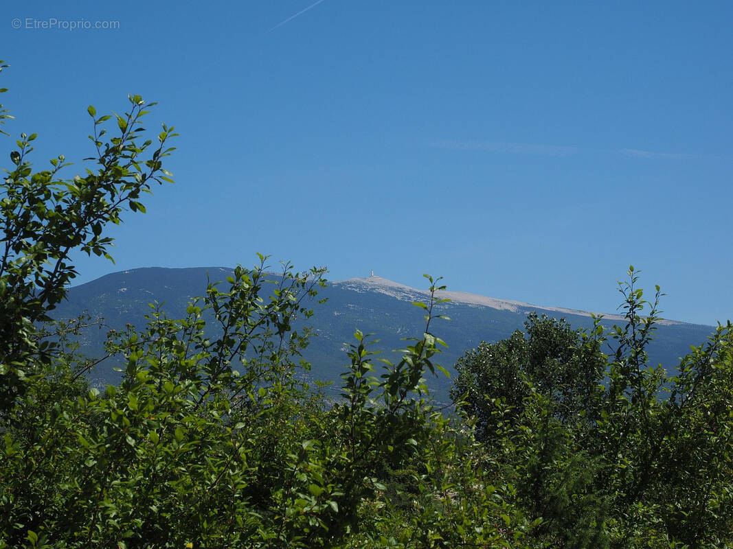 Autre à BUIS-LES-BARONNIES
