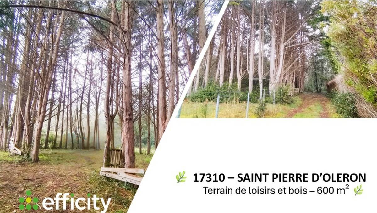 Terrain à SAINT-PIERRE-D&#039;OLERON