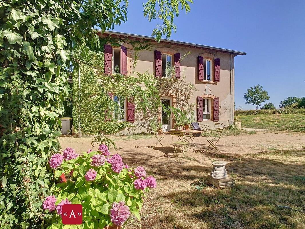 Maison à LISLE-SUR-TARN