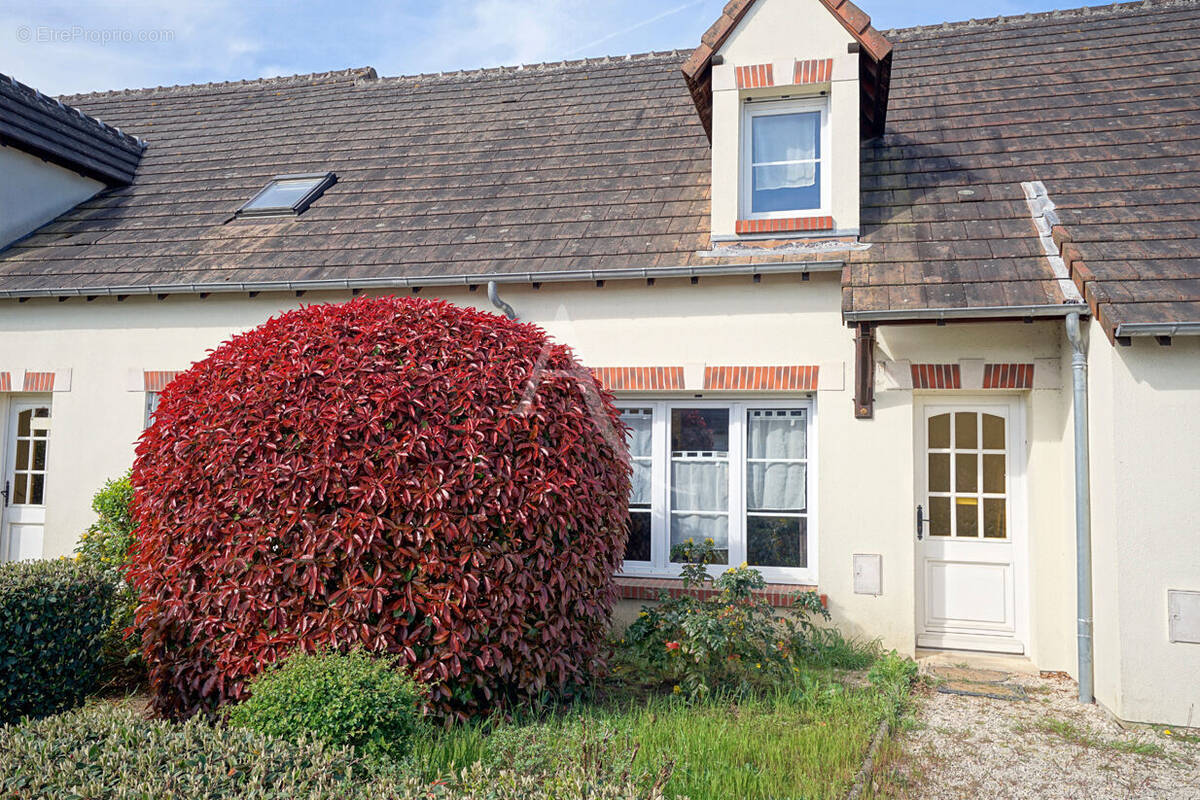 Maison à CHATEAUNEUF-SUR-LOIRE