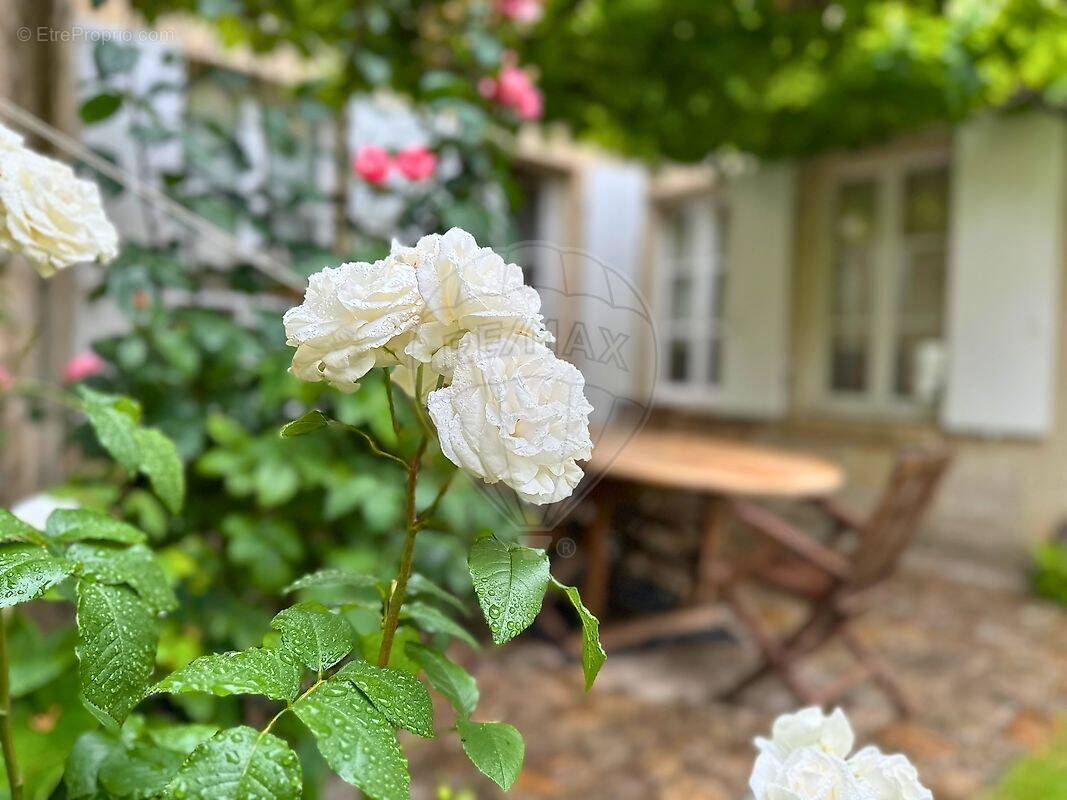 Maison à SENLIS