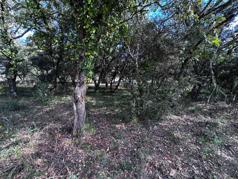 Terrain à GRIGNAN