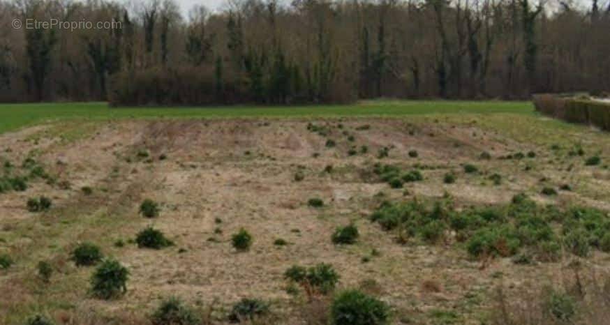 Terrain à TERMINIERS