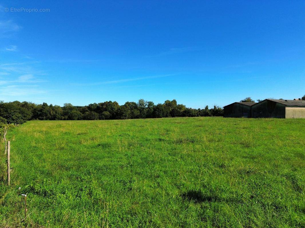 Terrain à SAUVETERRE-DE-BEARN