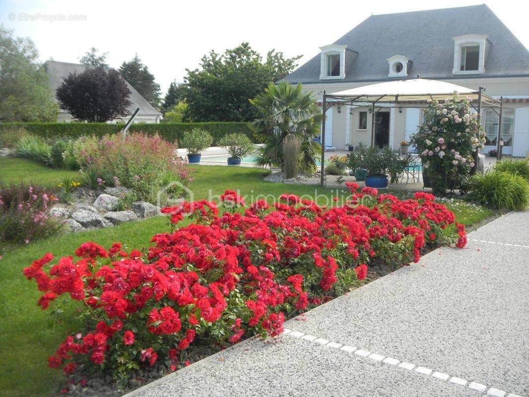 Maison à SAVONNIERES