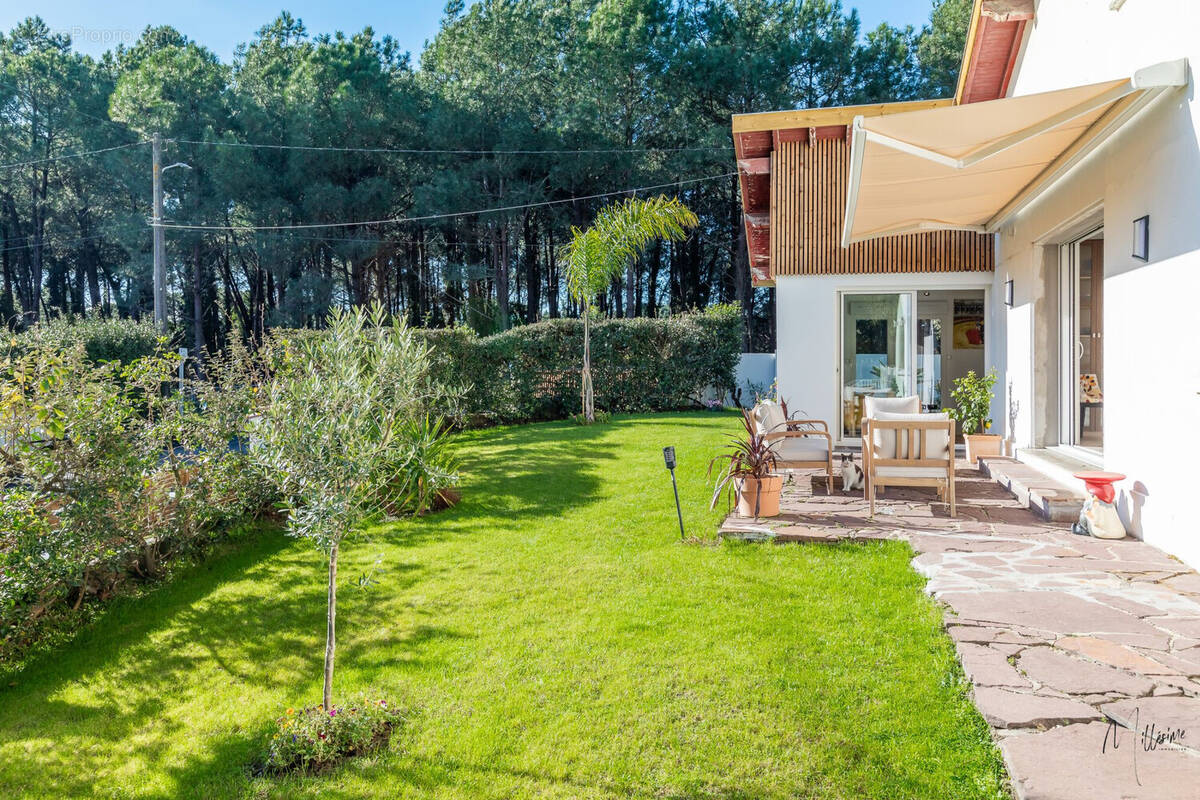 Appartement à ANGLET