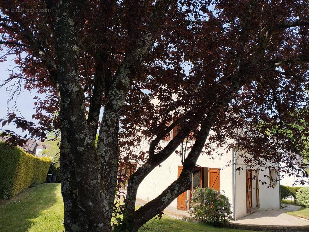 Maison à LIMOURS