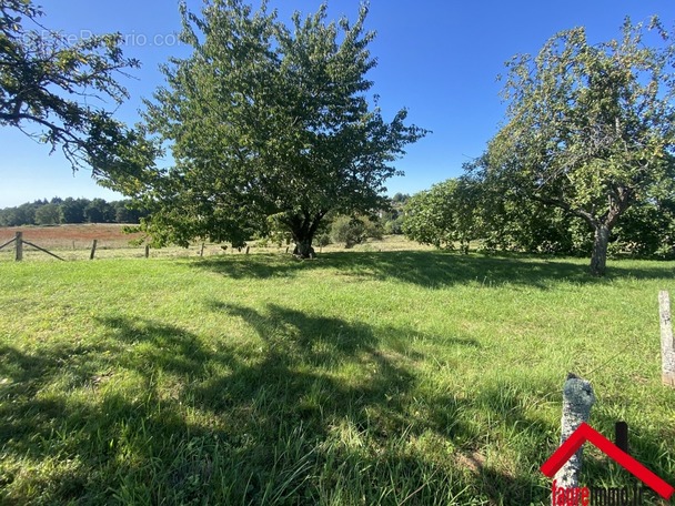 Terrain à CHABRIGNAC