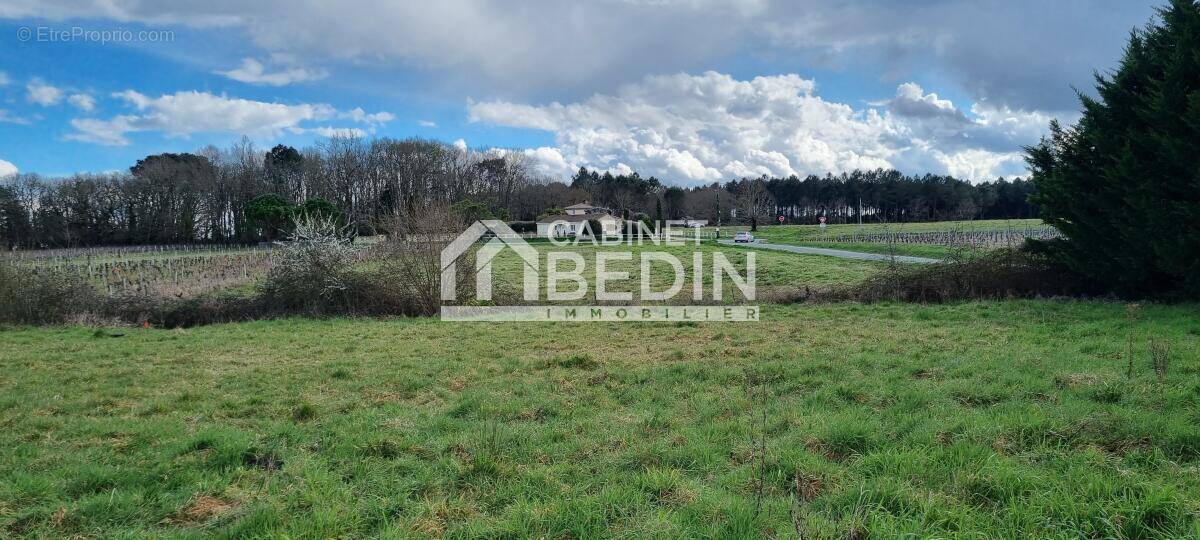Terrain à LA BREDE