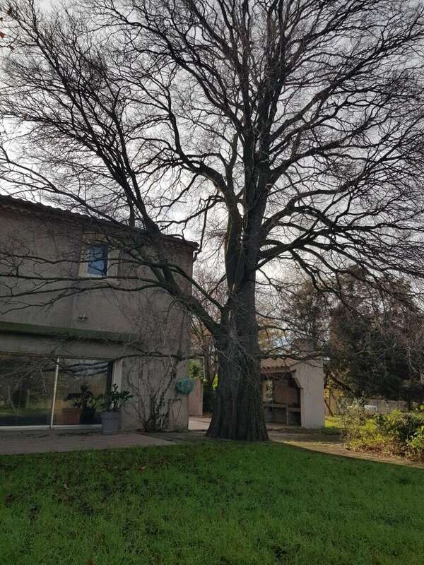 Maison à ABEILHAN