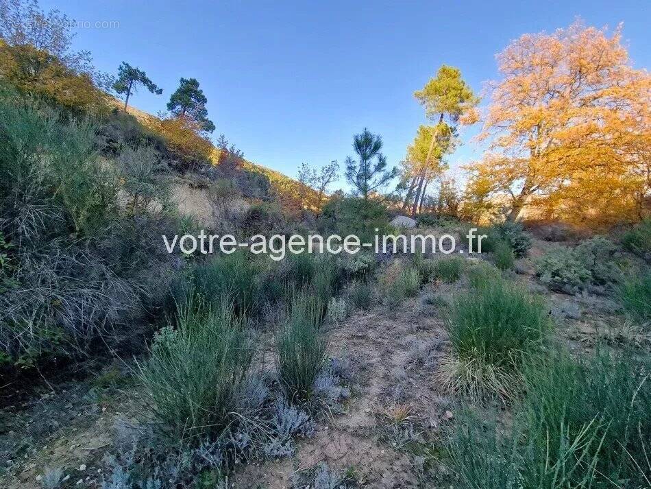 Terrain à COARAZE