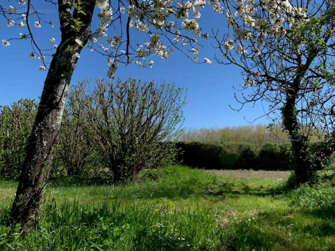 Terrain à SURGERES