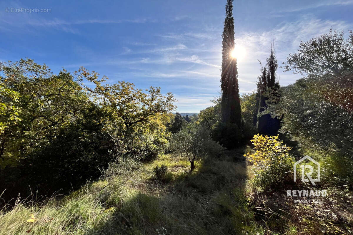 Terrain à CLERMONT-L&#039;HERAULT