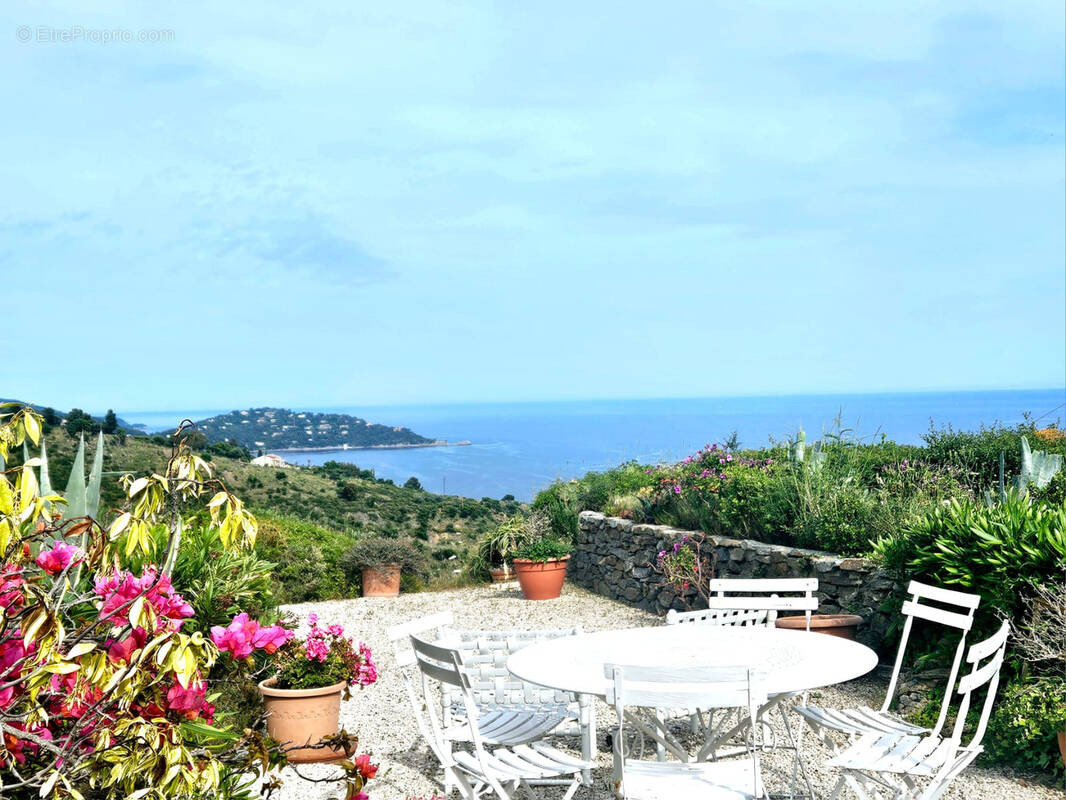 Maison à LE LAVANDOU