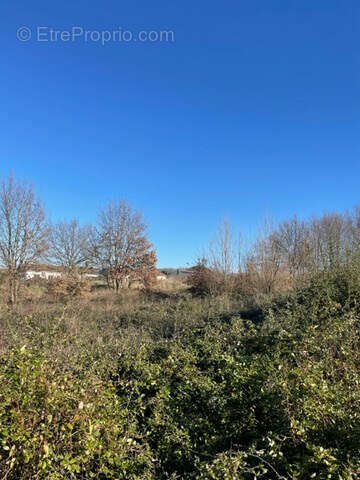 Terrain à MONTAUBAN