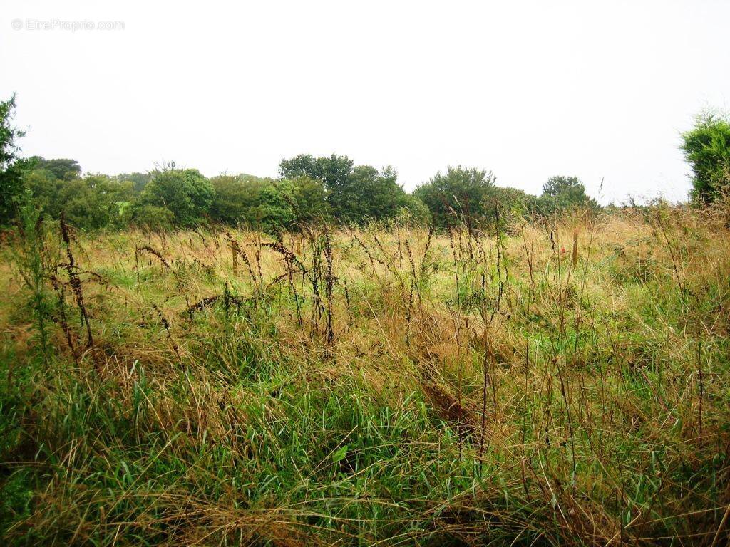 Terrain à LOCMALO
