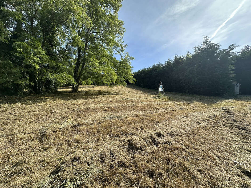 Terrain à THURINS