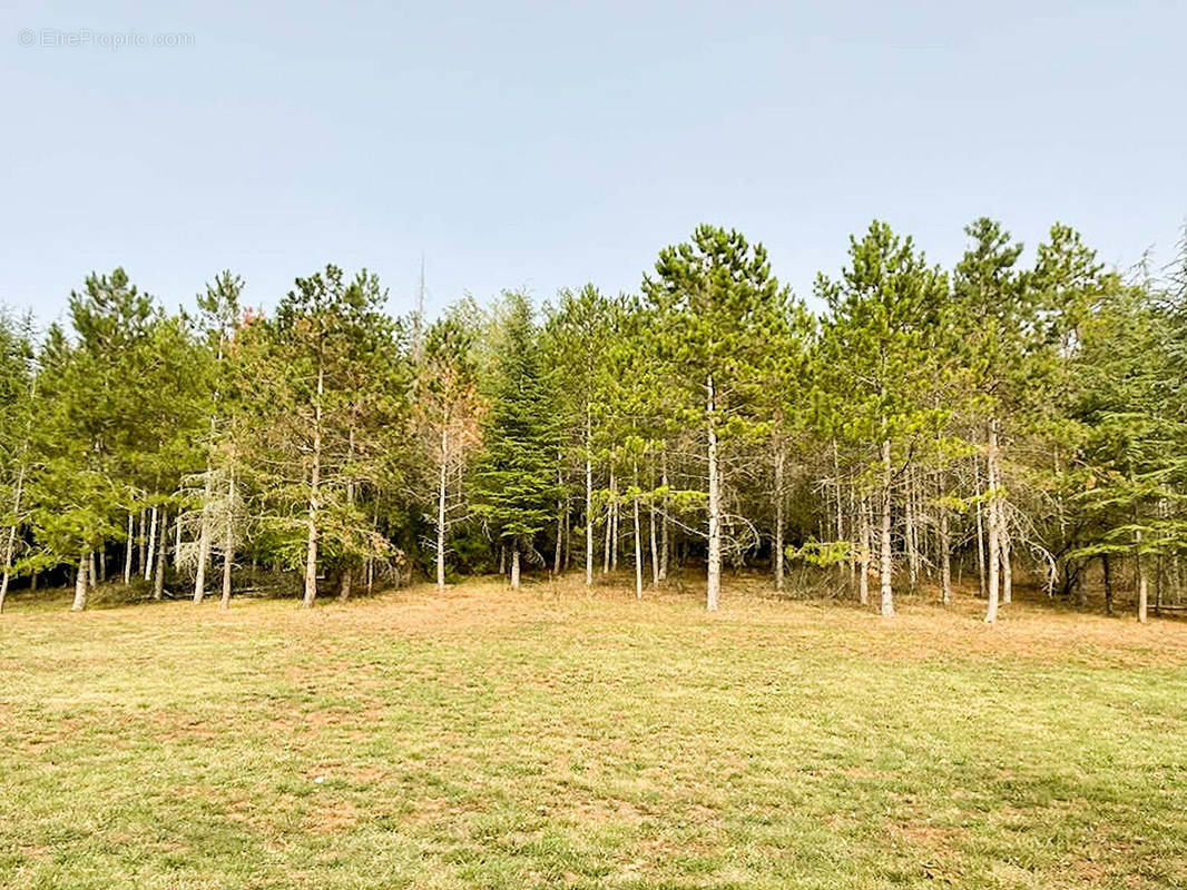 Terrain à REALMONT