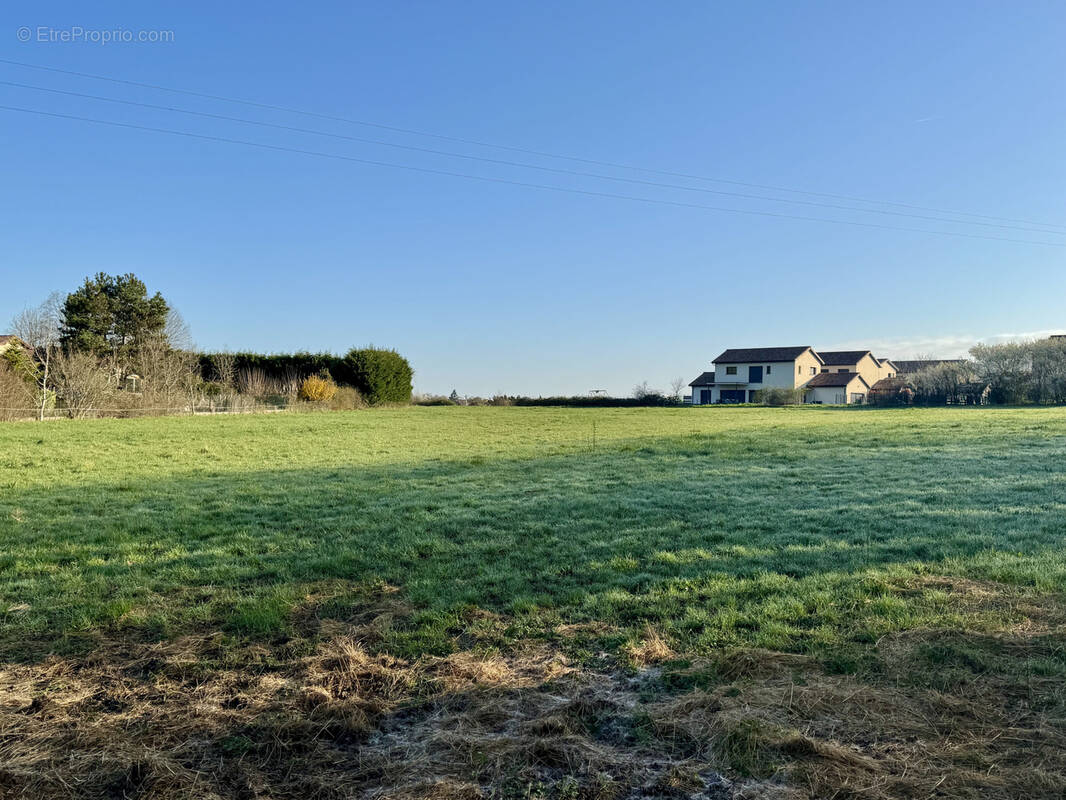 Terrain à LISSIEU