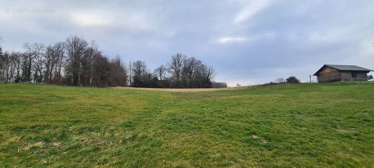 Terrain à ALBUSSAC