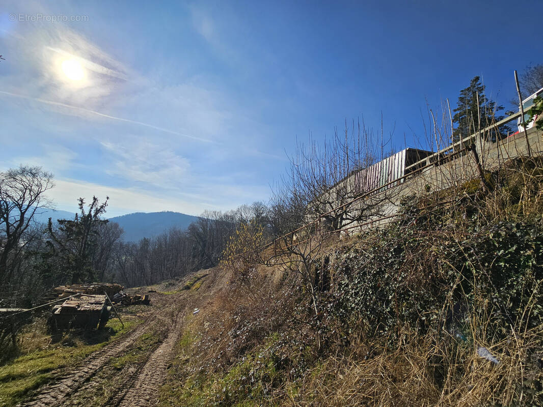 Terrain à HEILIGENBERG