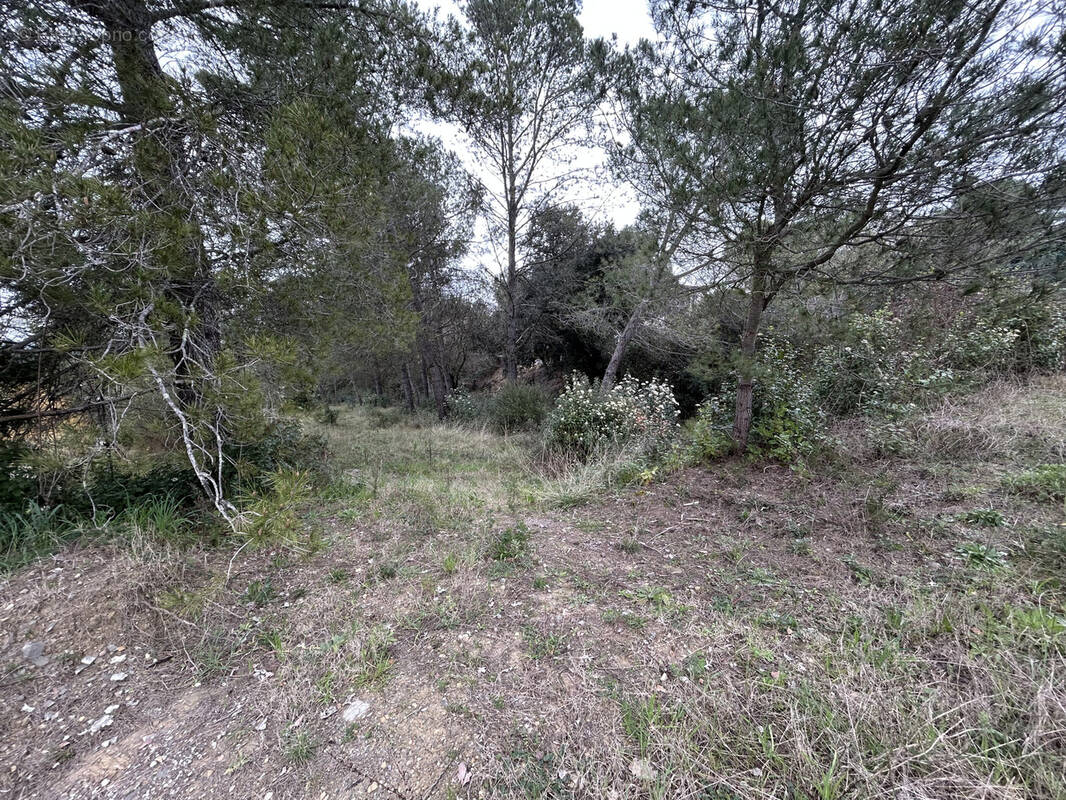 Terrain à CRESPIAN
