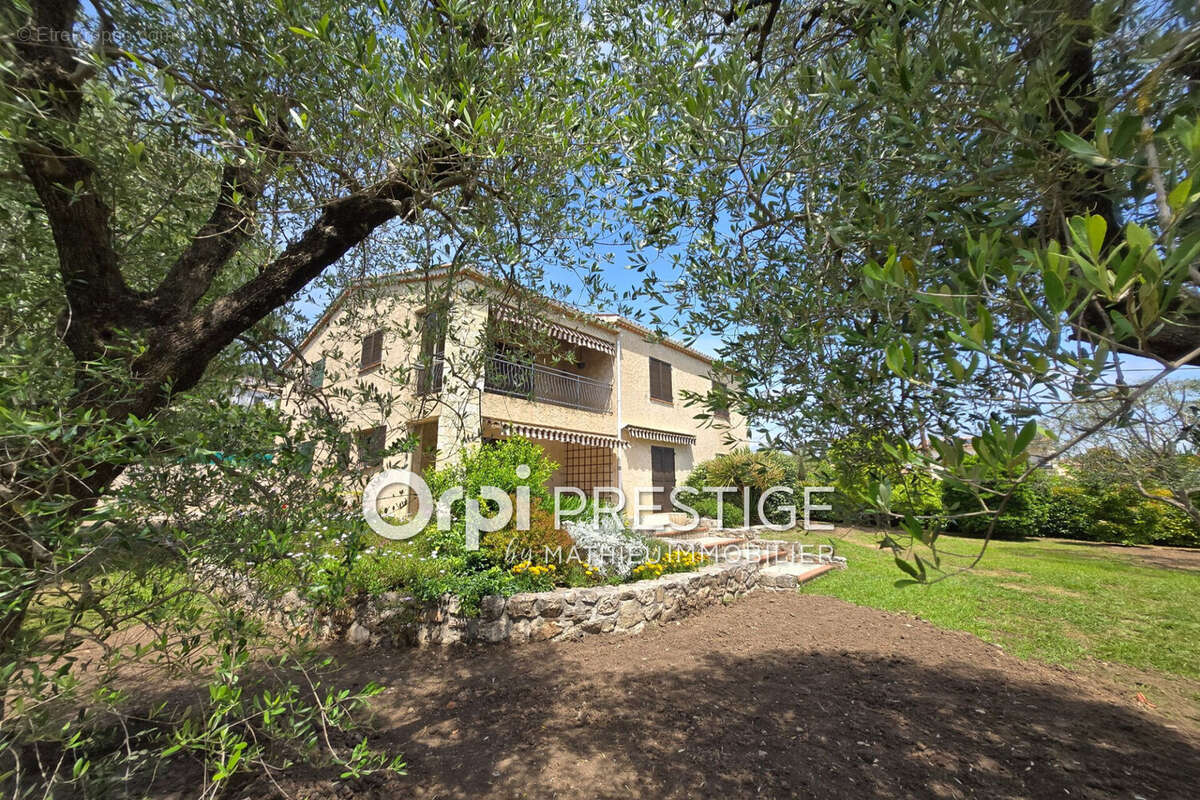 Maison à BIOT