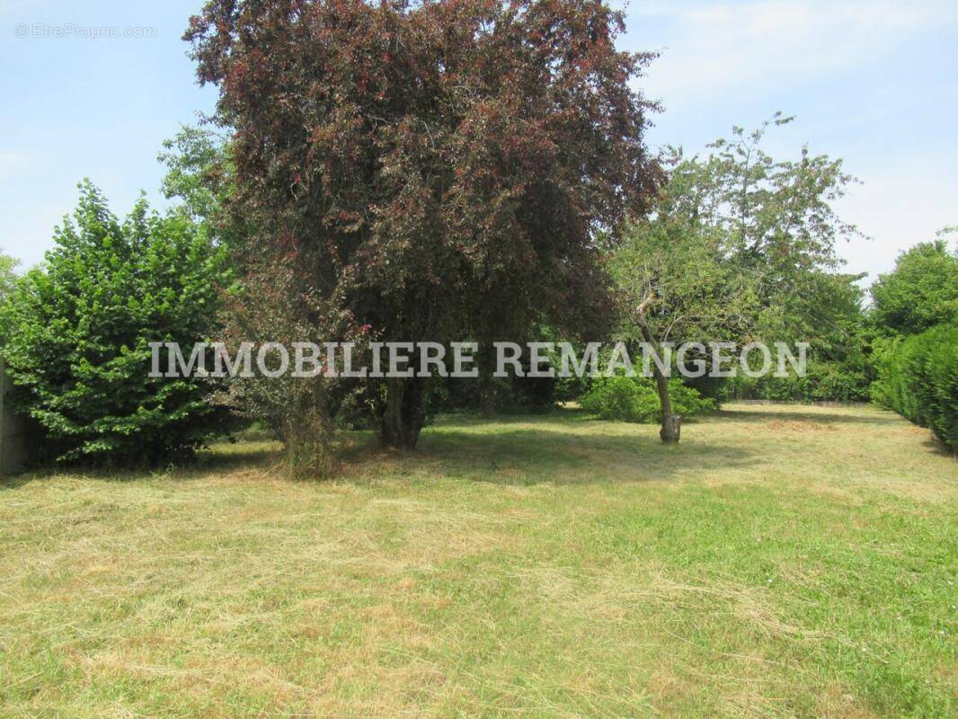 Terrain à LAMOTTE-BEUVRON