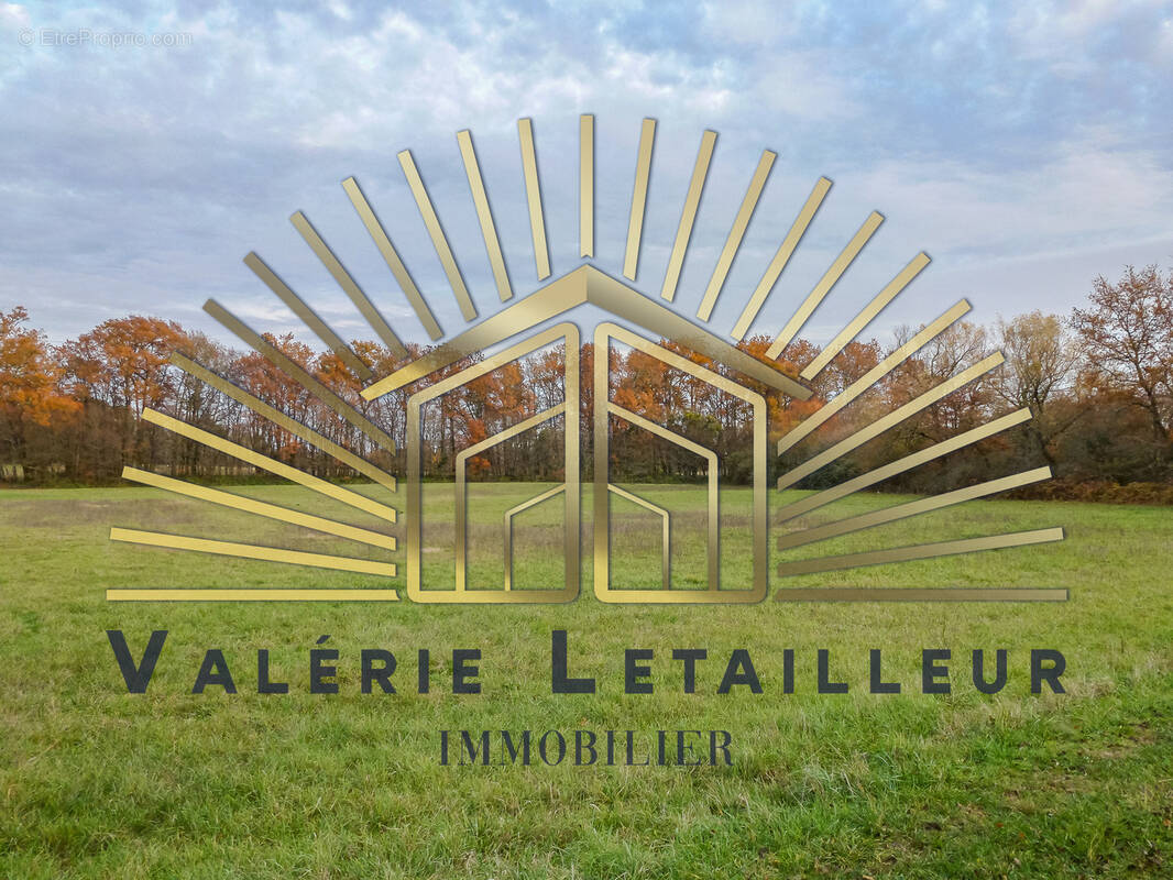 Terrain à LOUPES