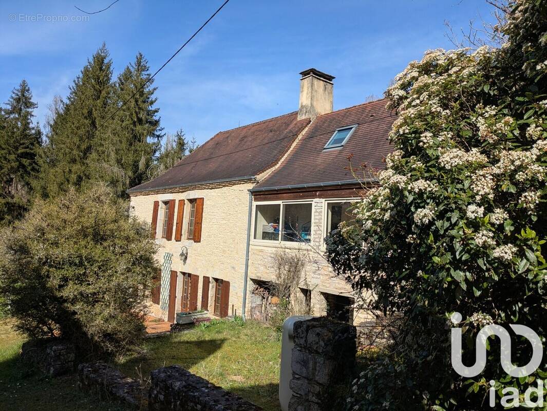 Photo 1 - Maison à VEYRINES-DE-DOMME