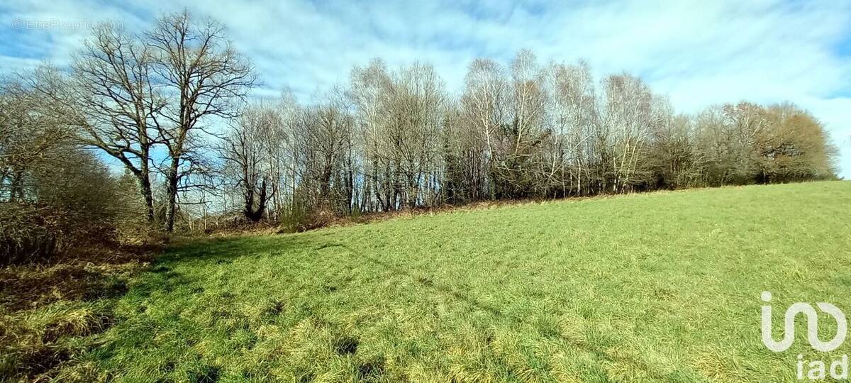Photo 1 - Terrain à SAINT-YRIEIX-LA-PERCHE