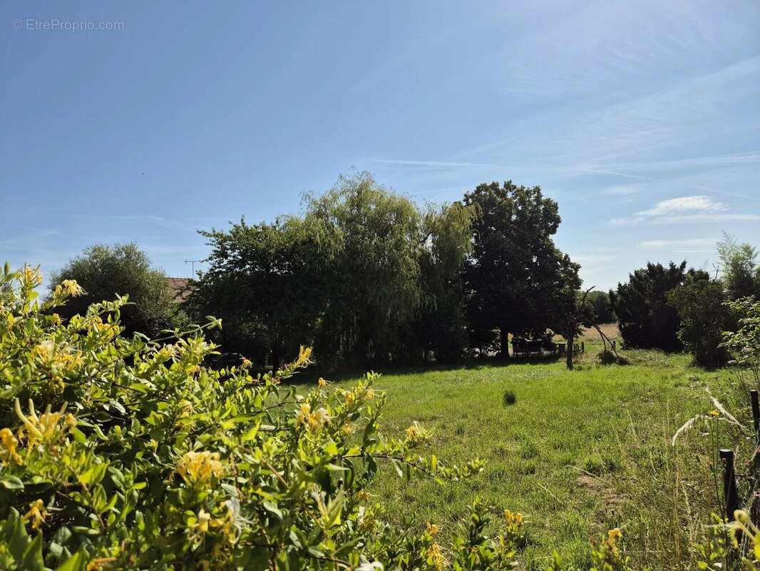 Terrain à SAINT-LOUP-DES-VIGNES