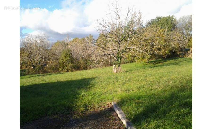 Terrain à CENAC-ET-SAINT-JULIEN