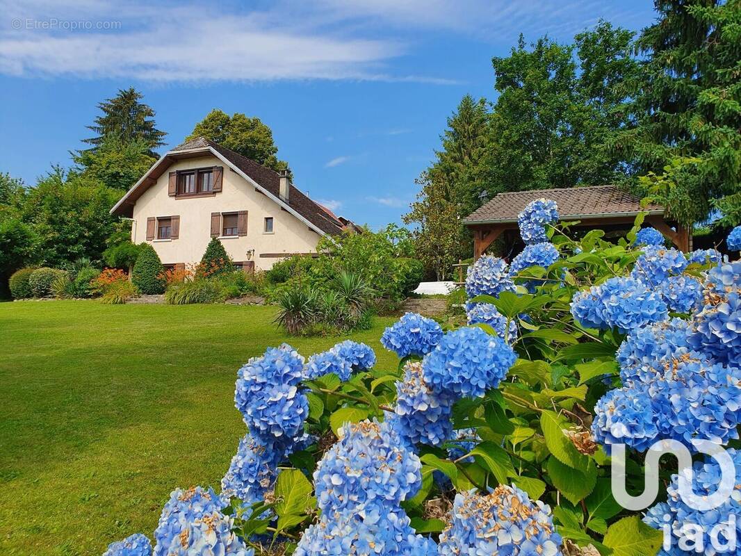 Photo 1 - Maison à NOVALAISE
