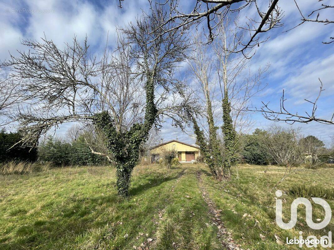 Photo 1 - Maison à COURSAC