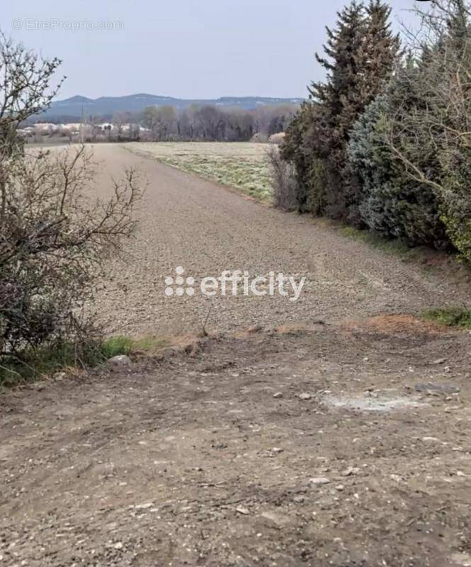 Terrain à BOLLENE