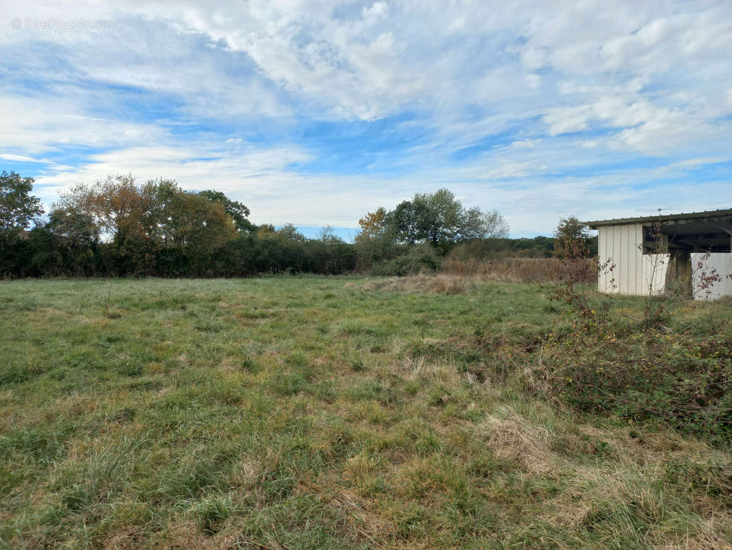 Terrain à MIRANDE