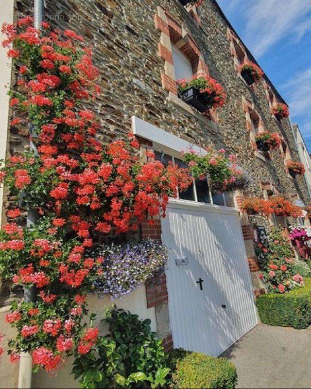 Maison à JOSSELIN