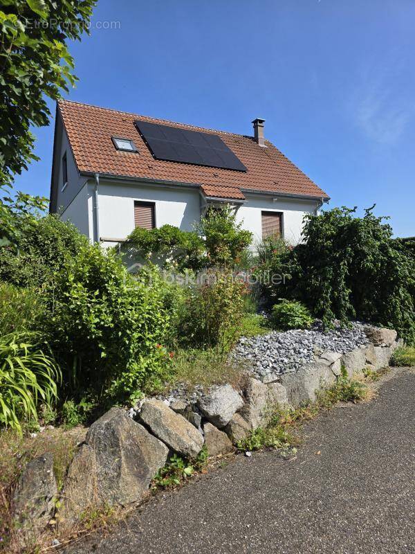 Maison à RIBEAUVILLE