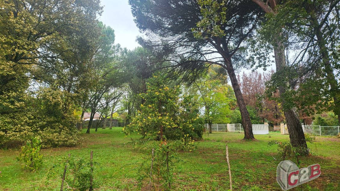 Terrain à NOAILLAN