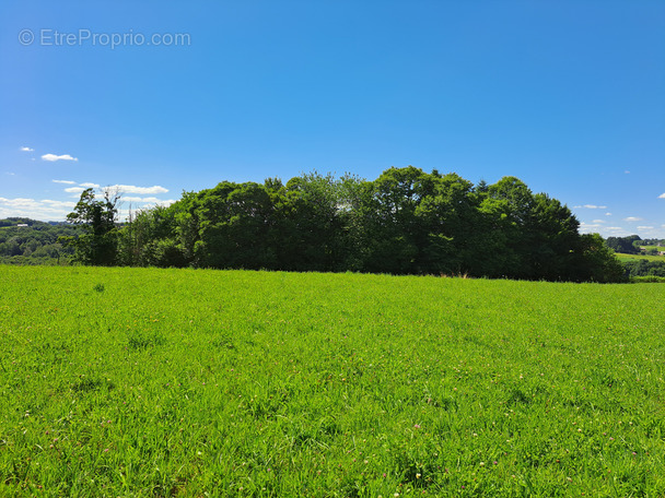Terrain à SAINT-HILAIRE-PEYROUX