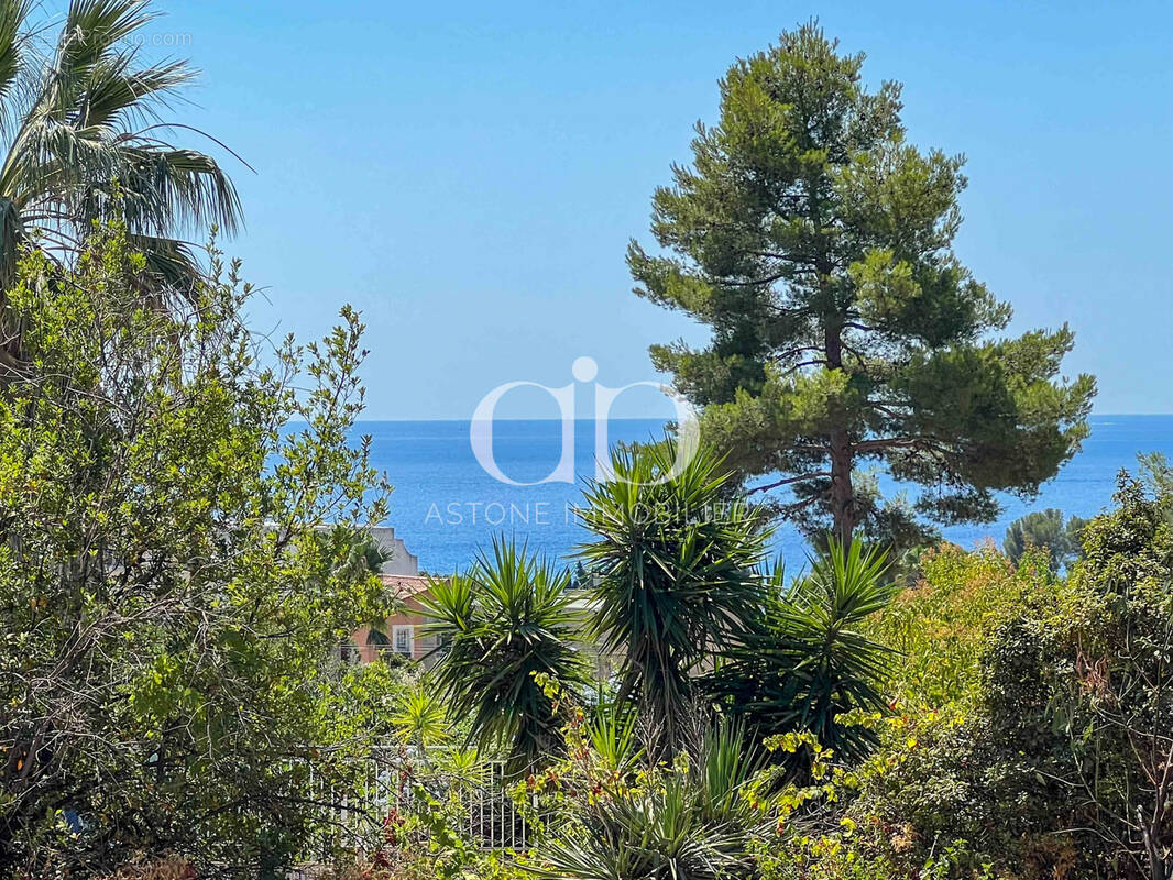 Terrain à LA CIOTAT