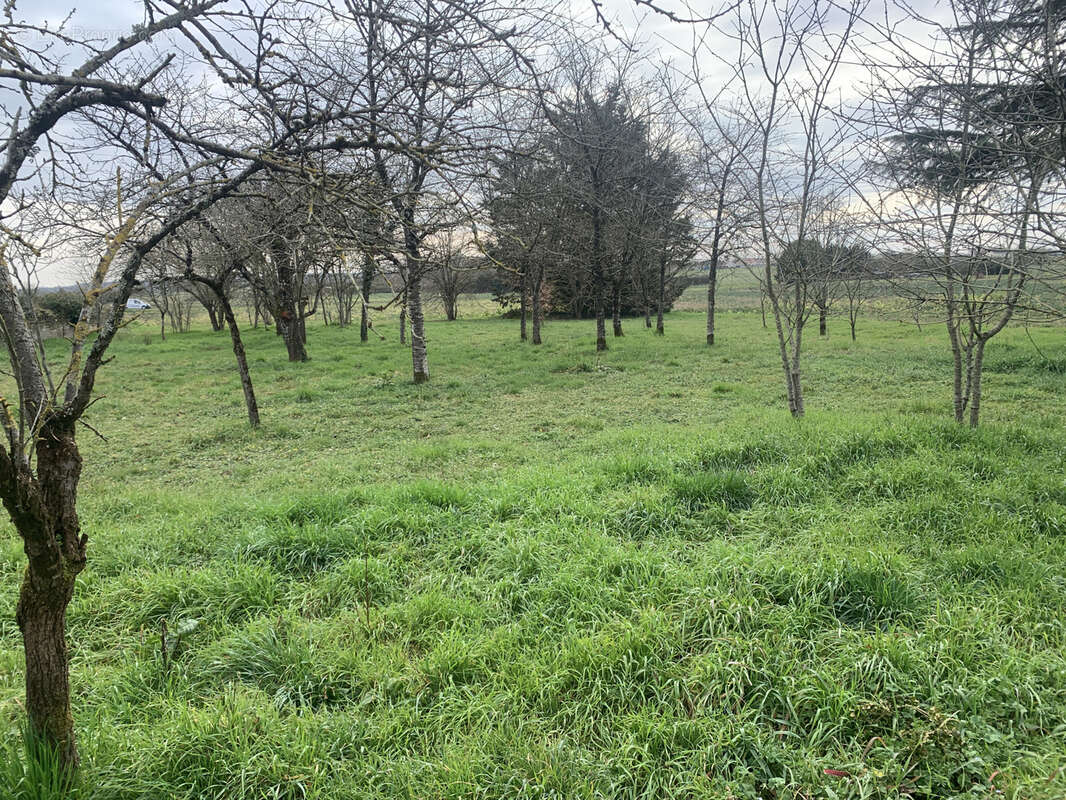Autre à CHATELLERAULT
