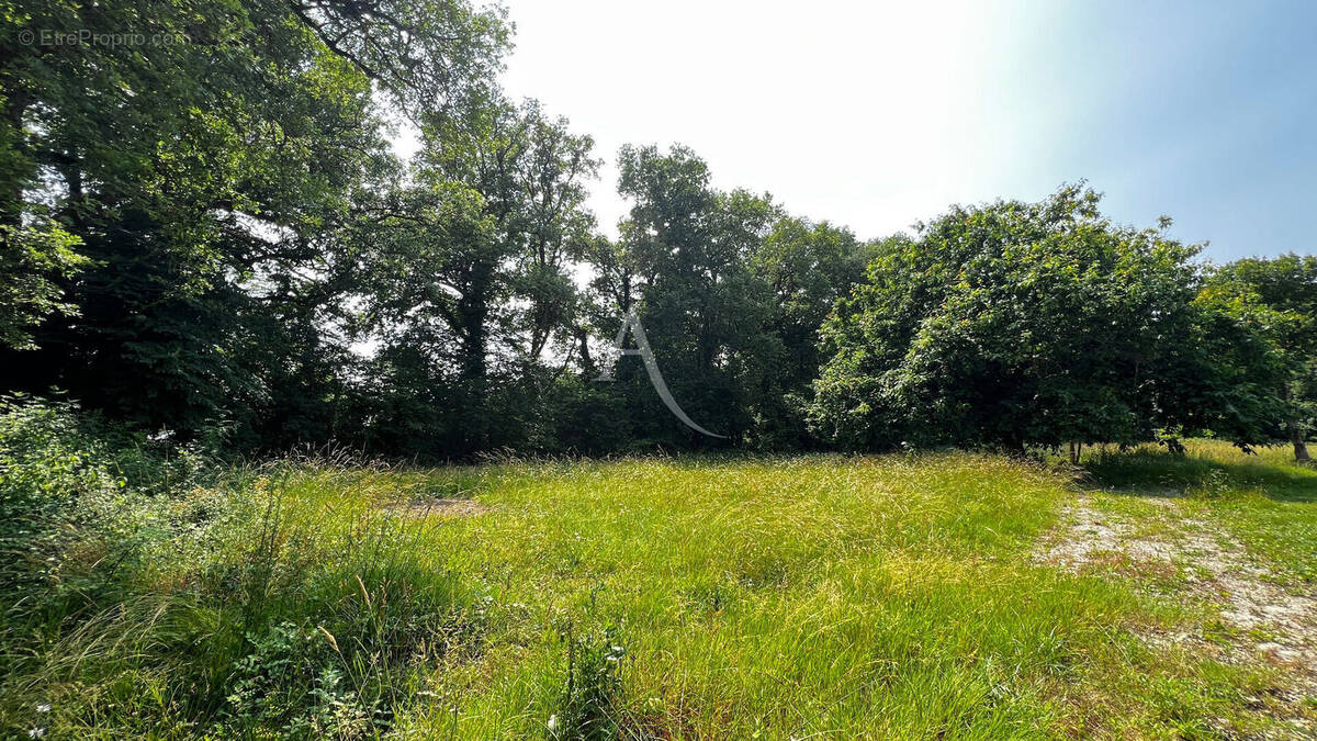 Terrain à MEDIS